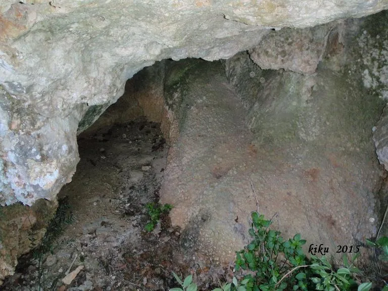 Fotografia de ENCANTATS, COVA PETITA DELS (2 de 4)