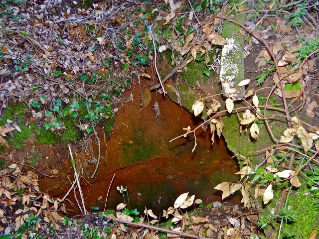 Photographie de CAVALL, AVENC FALS DEL (1 sur 1)
