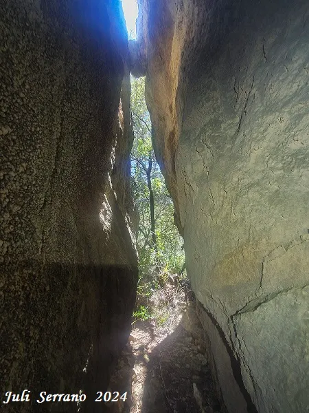 Photograph of RODÓN, COVA DE  (1 of 5)