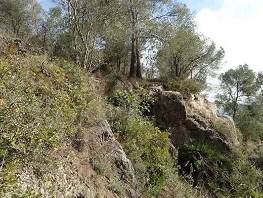 Fotografia de CINGLE DE CAL DURO, COVA DEL (2 de 7)