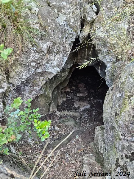 Photographie de CELLER D'EN PLANES, FORAT DEL (1 sur 2)