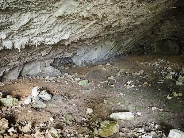 Fotografía de PASTOR, COVA DEL (4 de 12)