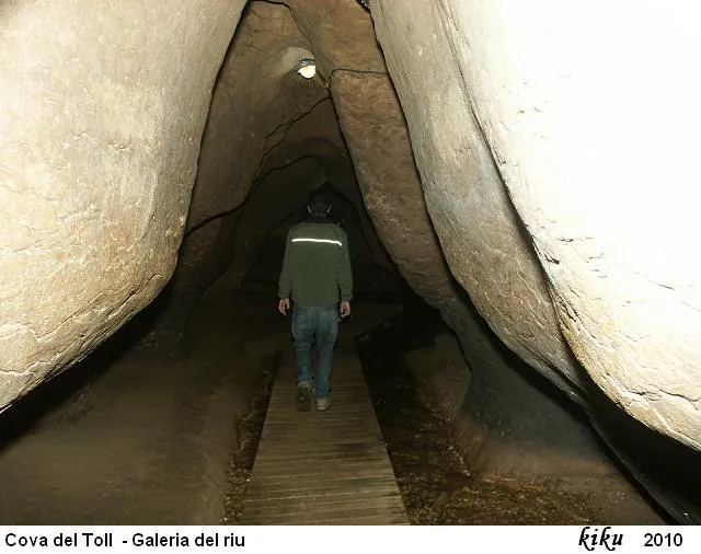 Fotografia de TOLL, COVA DEL (21 de 26)