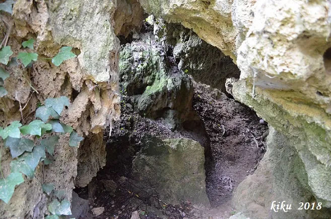 Fotografia de FONTANIL, COVA DE (3 de 4)