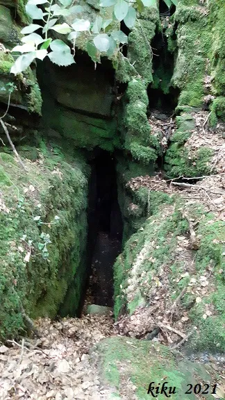 Fotografía de ANGÚNIES, COVA DE LES (1 de 5)