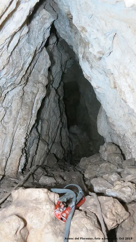 Fotografia de FLORESSO, AVENC D'EN (5 de 6)