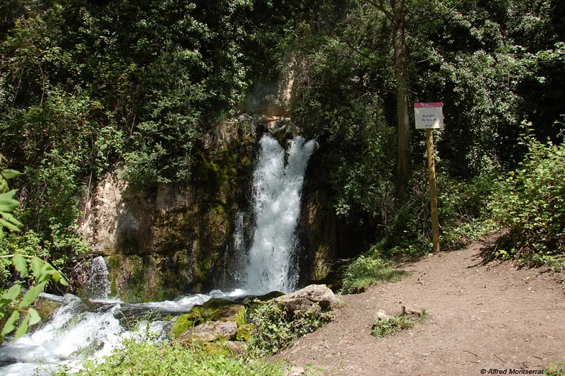 Photographie de LLET, BULLIDOR DE LA (1 sur 4)