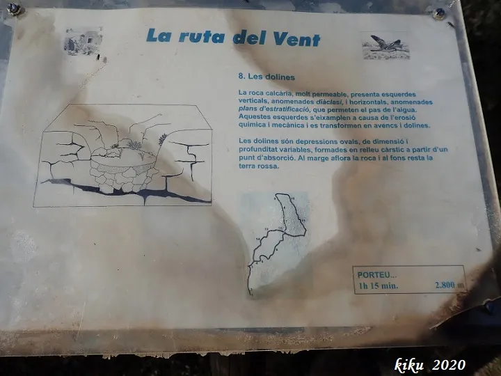 Fotografia de CISTERNÓ AMPLE, EL (5 de 5)
