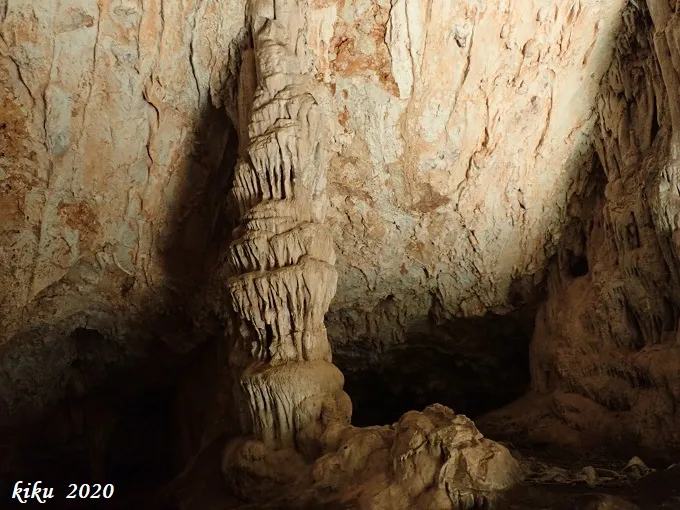 Photographie de BONICA, COVA (6 sur 6)