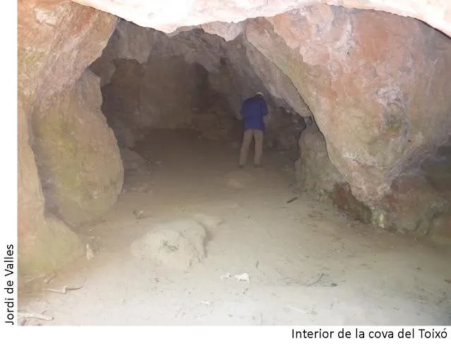 Fotografia de TOIXÓ, COVA DEL (3 de 4)