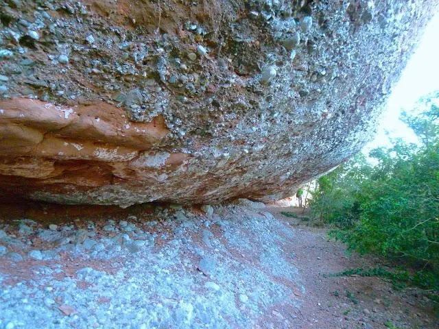 Photograph of CARA NORD DEL MONTCAU, BALMA DE LA (1 of 1)