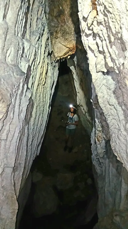 Photograph of ÍNSULA, COVA DE L' (3 of 6)