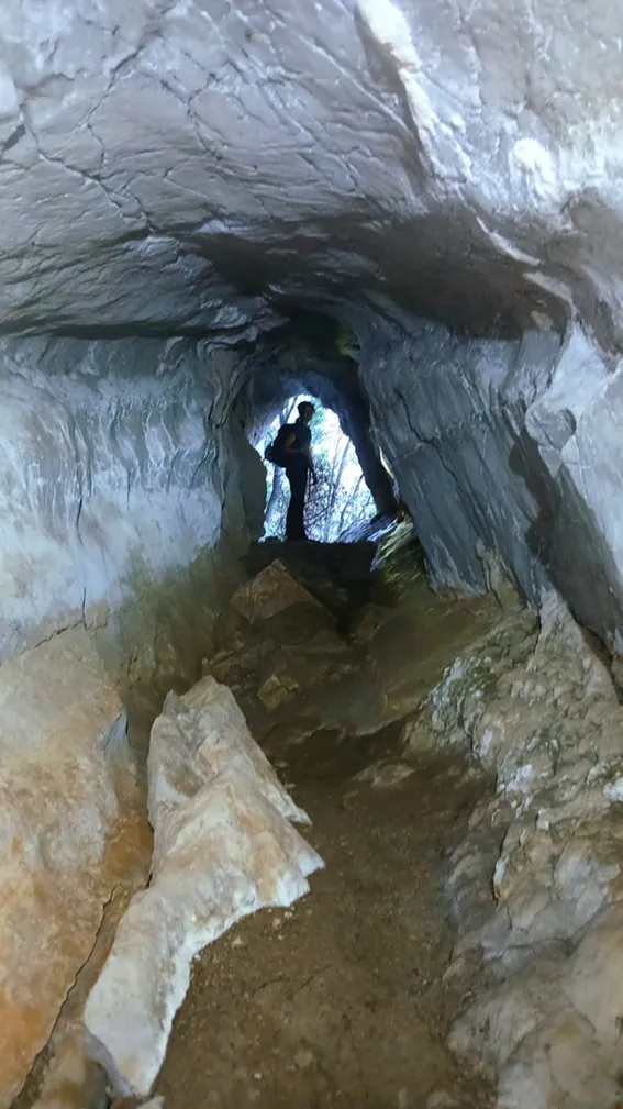 Fotografía de MÀGICA, COVA DE LA (8 de 8)