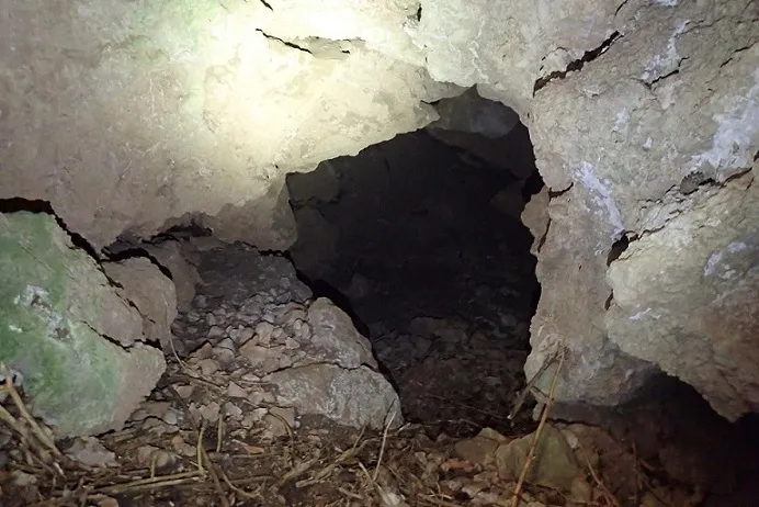 Fotografía de ARNAU, COVA D' (4 de 4)