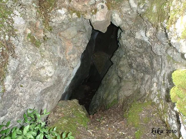 Fotografia de TEIX, AVENC DEL (2 de 2)