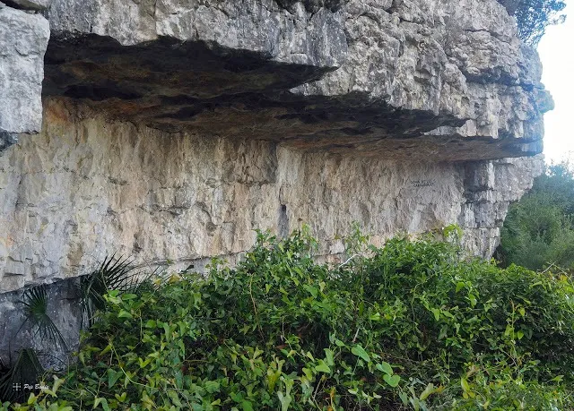 Fotografia de CARRASQUES, COVA DE LES (1 de 2)