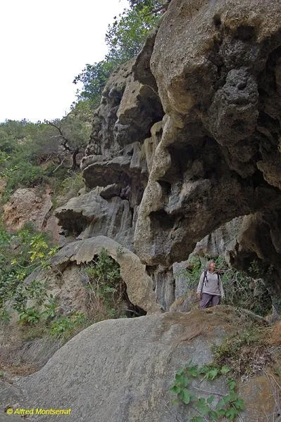 Photograph of NEGRE, BARBOT (3 of 3)