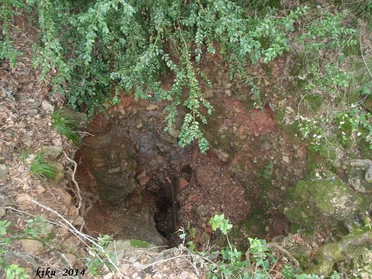 Fotografia de FONT FALSA DE GUANTA, LA (3 de 4)