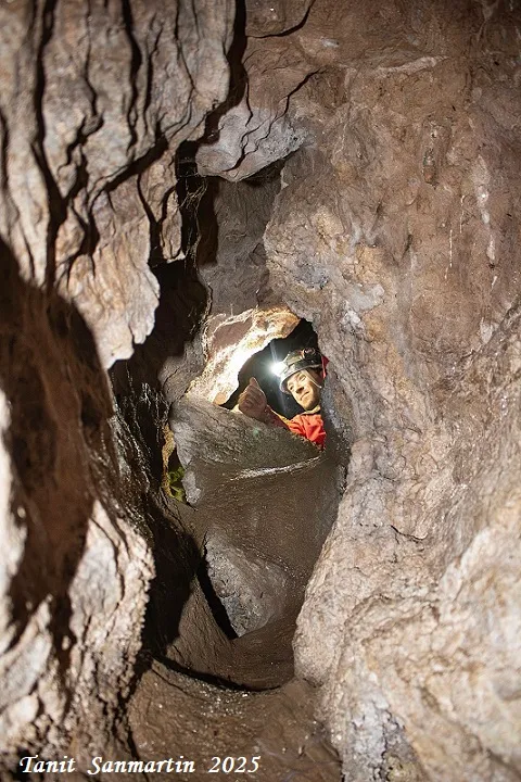 Photographie de RIBERAL, COVA DEL (3 sur 7)