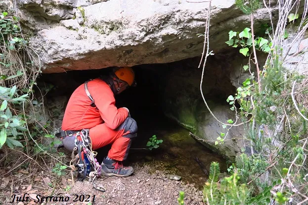 Fotografía de PÈLEC, AVENC DEL (22 de 22)