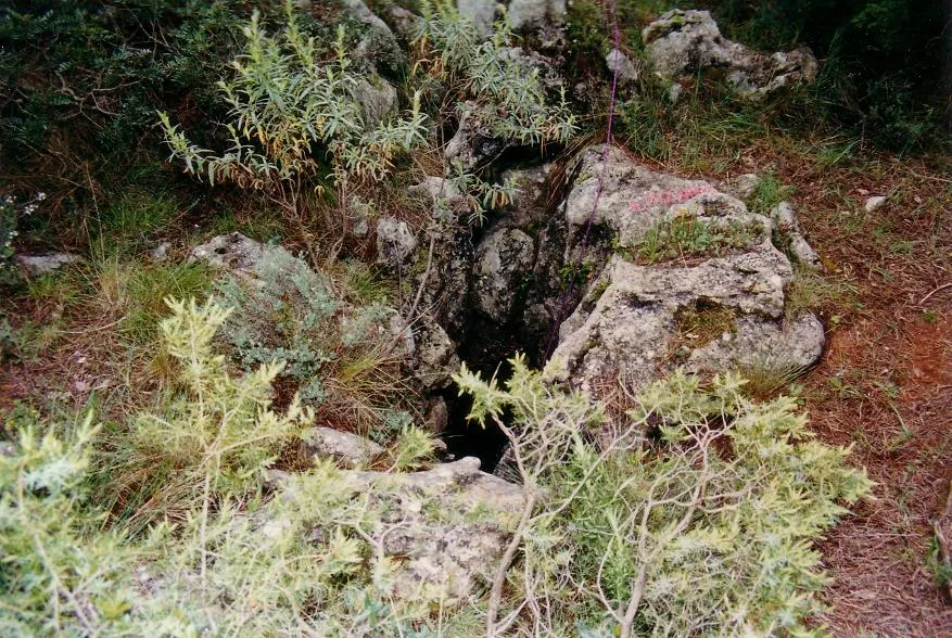 Fotografia de VINYA DEL TITÀ, AVENC DE LA (1 de 1)