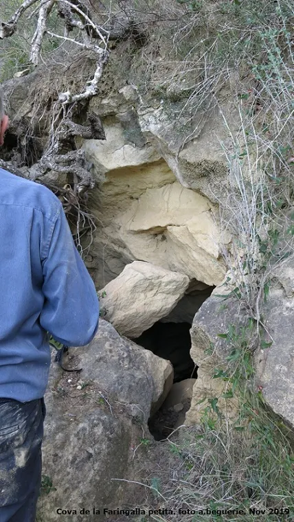 Photograph of FARINGALLA, COVA PETITA DE LA (1 of 4)
