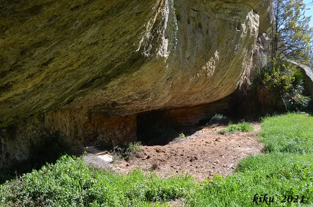 Fotografía de FORESOS, BALMA DELS (3 de 8)