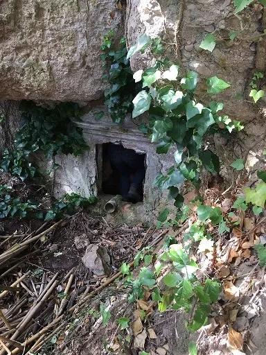 Fotografia de FONT DEL CATALINO, COVA DE LA (1 de 3)