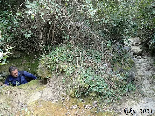Fotografia de BROGIT, EL (2 de 4)