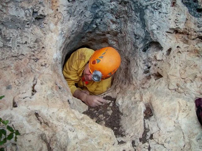Photographie de PESSETA, COVA DE LA (2 sur 5)
