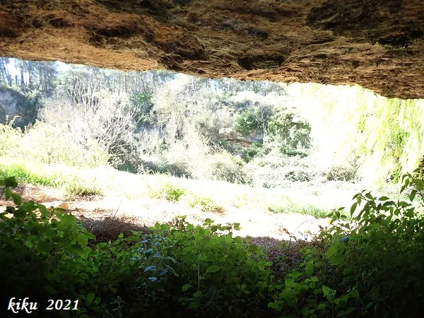Fotografía de FORESOS, BALMA DELS (8 de 8)