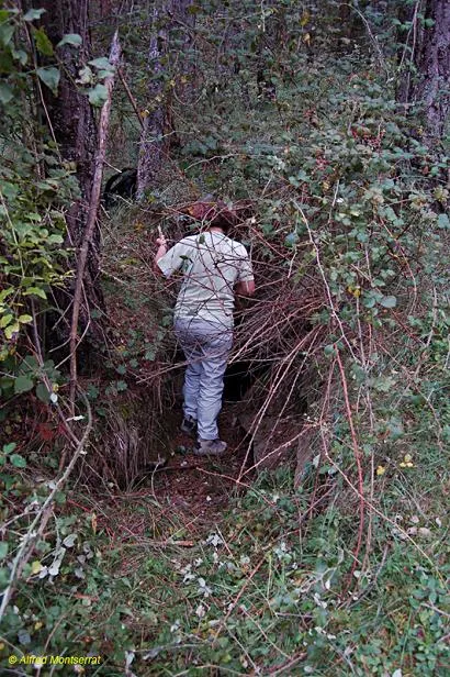 Fotografia de CAN BARRACA, TUTA DE (2 de 2)