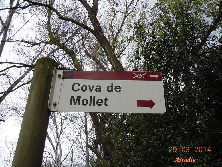 Fotografía de MOLLET, COVA D'EN (1 de 6)
