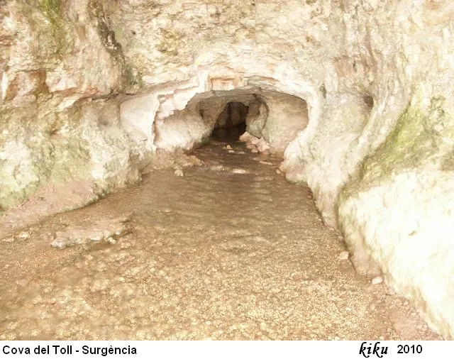 Fotografia de TOLL, COVA DEL (24 de 26)