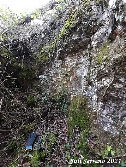 Fotografia de SERRA DEL MAS, AVENC SM-27 DE LA (2 de 5)