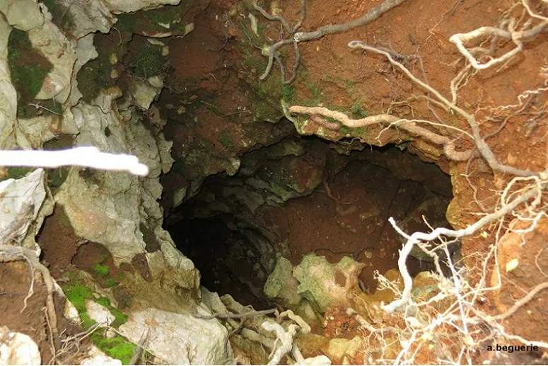 Fotografia de CARENA DE LES ALZINES, AVENC DE LA (3 de 7)