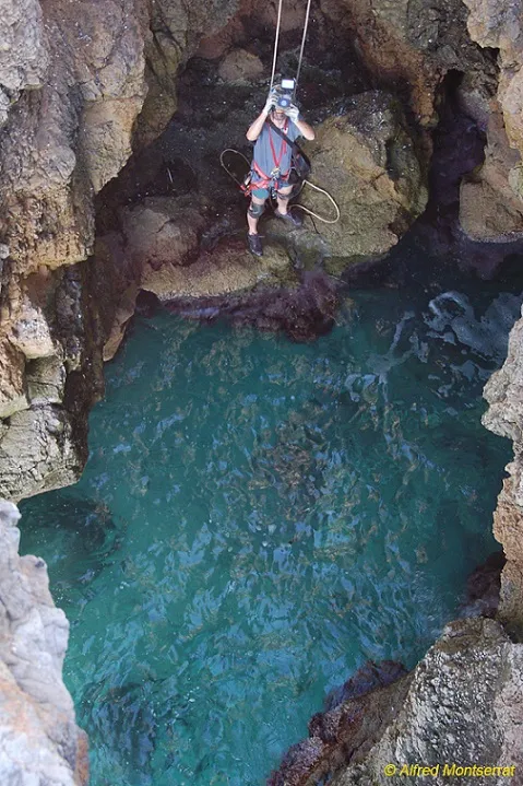 Photograph of GOS, COVA DEL (3 of 4)