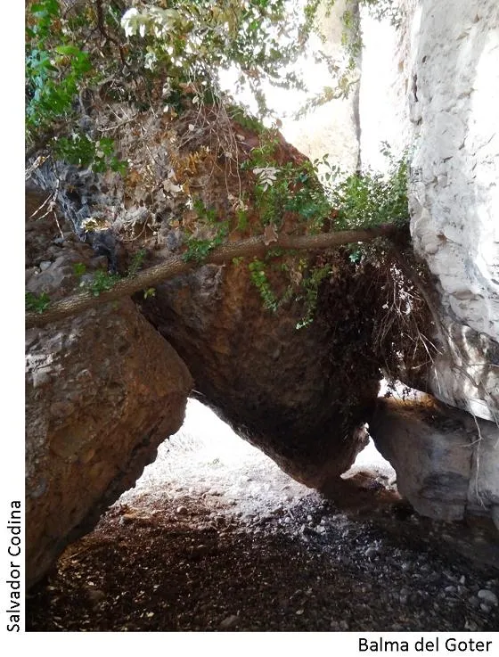 Photographie de GOTER, BALMA DEL (2 sur 3)