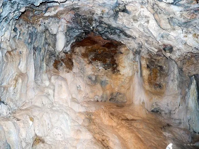 Photograph of VALL CLOSA, COVA DE LA (3 of 6)