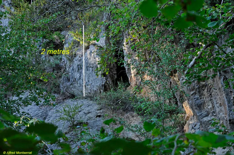 Fotografía de PONT, COVA DEL (1 de 1)