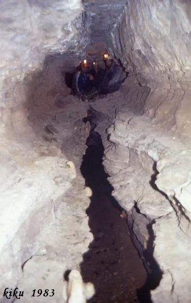 Photographie de SERRAT DEL VENT, COVA DEL (12 sur 20)