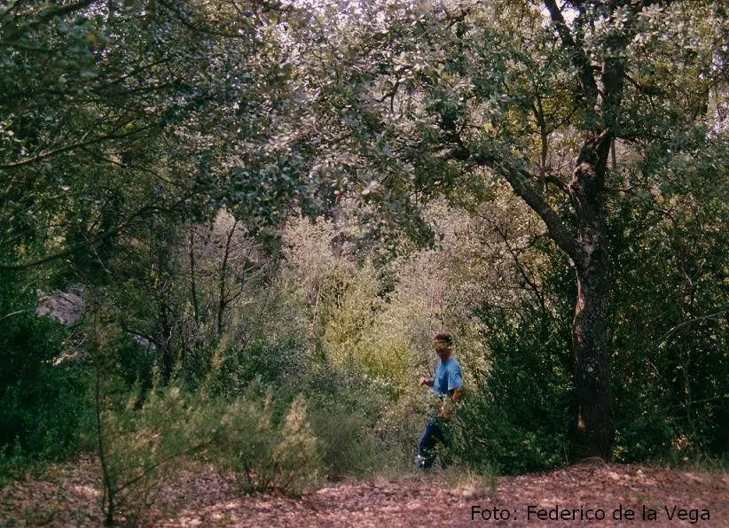 Fotografia de PAÚS,  QUERANT PETIT DE (3 de 3)