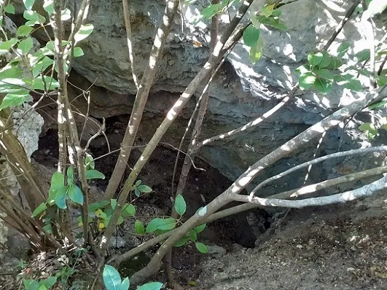 Fotografía de PÚDOL, AVENC DEL (1 de 1)