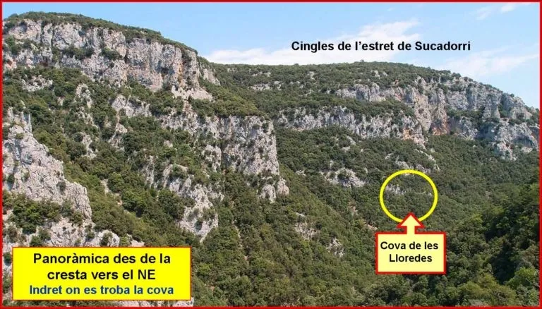 Fotografia de LLOREDES, COVA DE LES (1 de 4)