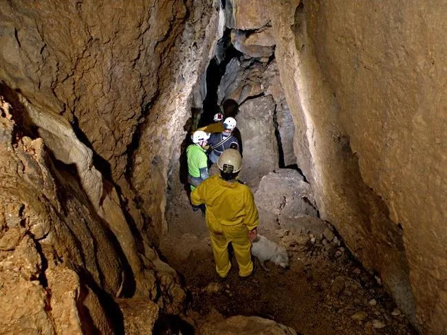 Photographie de LLOBERES, COVA DE LES (3 sur 5)