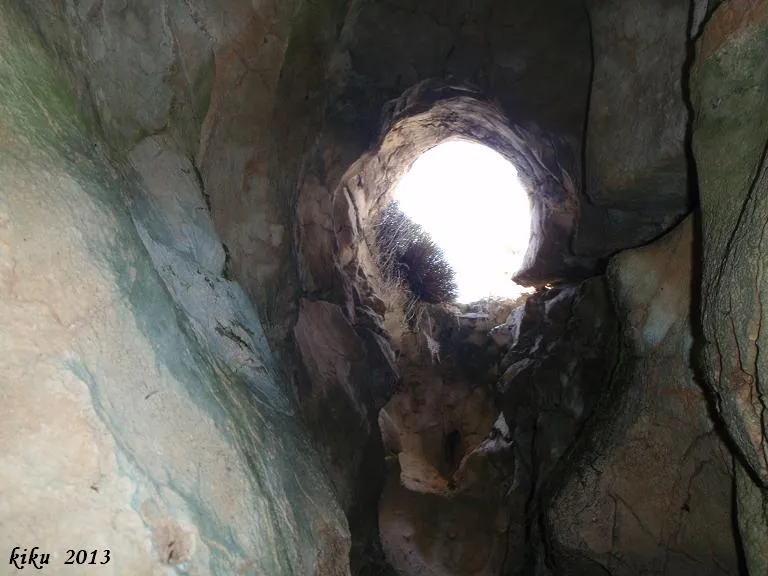 Photographie de PADRÓ, COVA-AVENC DEL (5 sur 8)