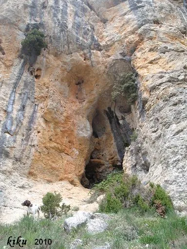 Fotografia de MONT-RAL, COVA DE (5 de 6)