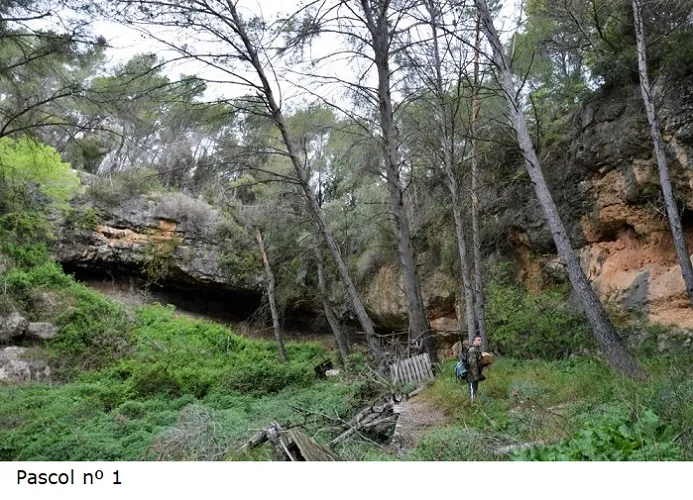 Fotografía de PASCOL, COVES DEL (1 de 10)