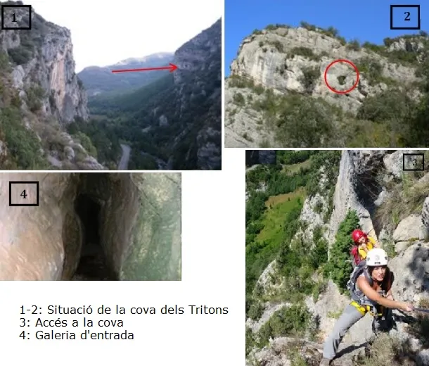 Fotografía de TRITONS, COVA DELS (1 de 4)