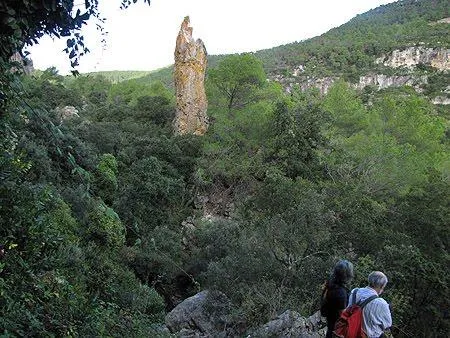 Photograph of BOIRA, FORAT DE LA (1 of 8)